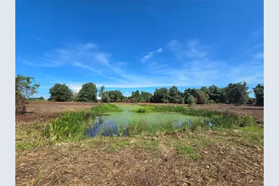 Cr 736, Center Hill, FL 33514 - Photo 17