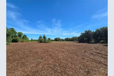 Cr 736, Center Hill, FL 33514 - Photo 31