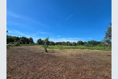 Cr 736, Center Hill, FL 33514 - Photo 37