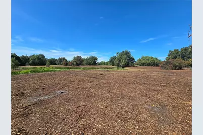 Cr 736, Center Hill, FL 33514 - Photo 19