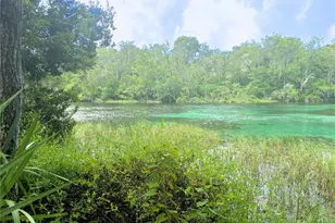 19569 SW 77th Pl, Dunnellon, FL 34432 - Photo 47