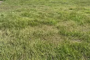 74 Locust Run, Ocala, FL 34472 - Photo 1