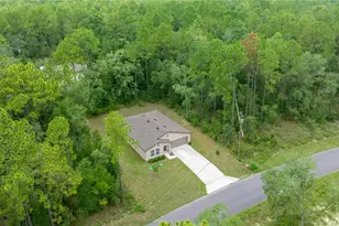 10802 N Haitian Dr, Citrus Springs, FL 34434 - Photo 23