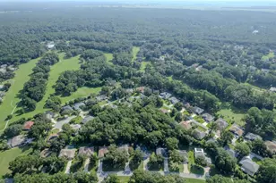 8859 SW 196th Avenue Rd, Dunnellon, FL 34432 - Photo 39