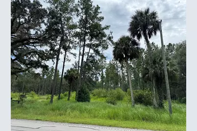 9600 NE 90th Street Road, Fort Mc Coy, FL 32134 - Photo 7