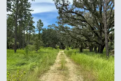 9600 NE 90th Street Road, Fort Mc Coy, FL 32134 - Photo 11