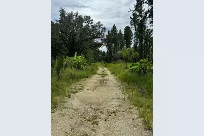 9600 NE 90th Street Road, Fort Mc Coy, FL 32134 - Photo 9