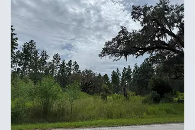 9600 NE 90th Street Road, Fort Mc Coy, FL 32134 - Photo 5