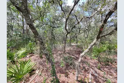 Corner Of Oak and Cypress Road, Ocala, FL 34472 - Photo 11