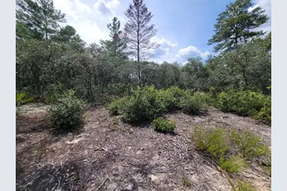 Corner Of Oak and Cypress Road, Ocala, FL 34472 - Photo 9