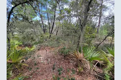 Corner Of Oak and Cypress Road, Ocala, FL 34472 - Photo 7