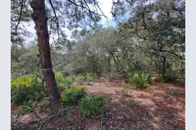 Corner Of Oak and Cypress Road, Ocala, FL 34472 - Photo 13