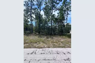 2910 W Rutland Drive, Citrus Springs, FL 34433 - Photo 1