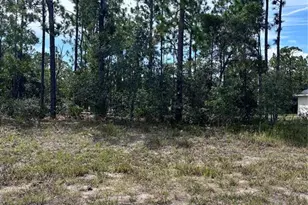 2910 W Rutland Dr, Citrus Springs, FL 34433 - Photo 1