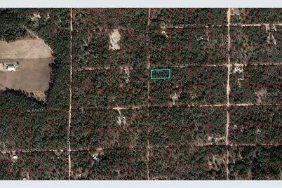 Tbd NE 86th Street, Bronson, FL 32621 - Photo 1