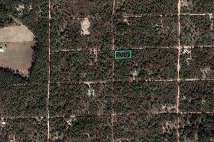 Tbd NE 86th St, Bronson, FL 32621 - Photo 1