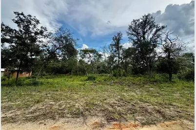 15668 NE 238th Street, Fort Mc Coy, FL 32134 - Photo 31