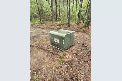 Lot 4 SW 194th Avenue, Dunnellon, FL 34432 - Photo 5