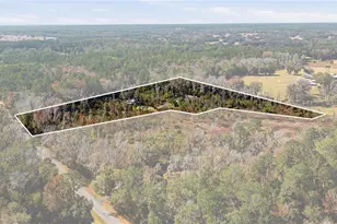 19040 NW 88th Avenue Rd, Reddick, FL 32686 - Photo 67