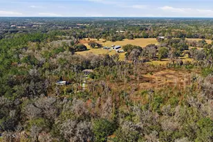 19040 NW 88th Avenue Rd, Reddick, FL 32686 - Photo 63