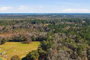 19040 NW 88th Avenue Rd, Reddick, FL 32686 - Photo 61