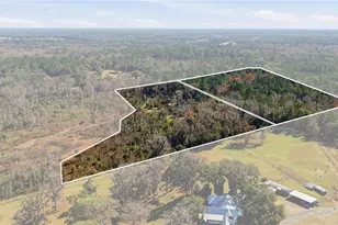 19040 NW 88th Avenue Rd, Reddick, FL 32686 - Photo 67