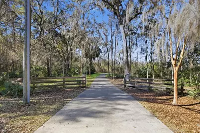 19040 NW 88th Avenue Road, Reddick, FL 32686 - Photo 3