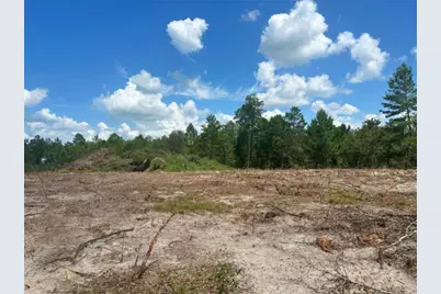 Tbd SE 128th Terrace, Morriston, FL 32668 - Photo 3