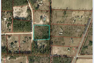 Tbd SE 128th Terrace, Morriston, FL 32668 - Photo 1