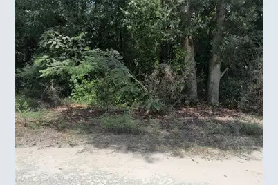 Se 108th Terrace, Morriston, FL 32668 - Photo 3
