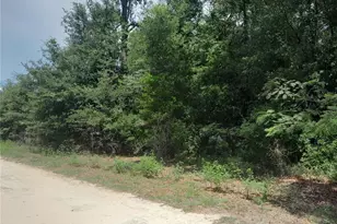 SE 108th Terrace, Morriston, FL 32668 - Photo 1