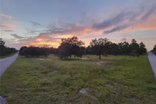 23061 SW Nautilus Blvd, Dunnellon, FL 34431 - Photo 51