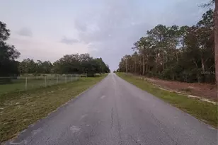 23061 SW Nautilus Blvd, Dunnellon, FL 34431 - Photo 65