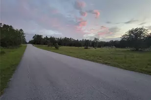 23061 SW Nautilus Blvd, Dunnellon, FL 34431 - Photo 59