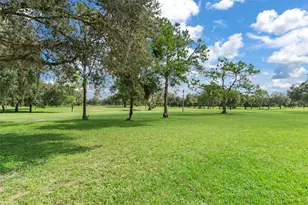 8505 E Sandpiper Dr, Inverness, FL 34450 - Photo 45