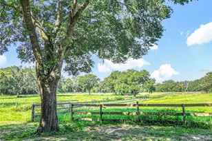 13691 S Hwy 25, Eastlake Weir, FL 32133 - Photo 39