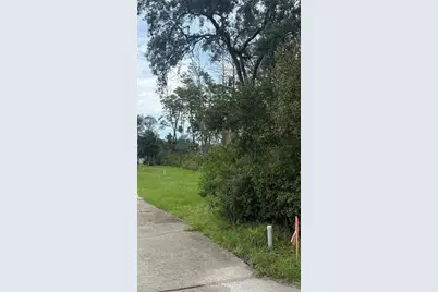 Tbd SW 39th Court, Ocala, FL 34476 - Photo 3