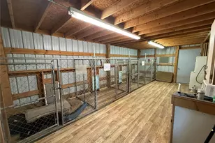 19260 NW 88th Avenue Rd, Reddick, FL 32686 - Photo 19