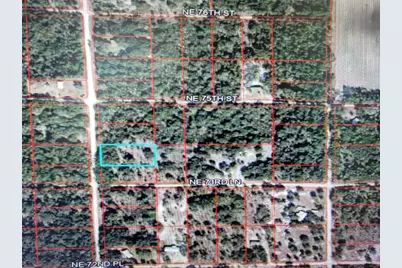 0 NE 110th Avenue, Bronson, FL 32621 - Photo 1