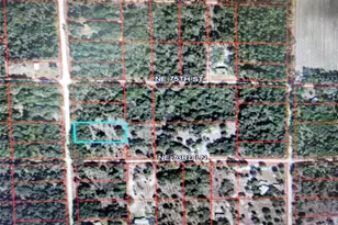 0 NE 110th Ave, Bronson, FL 32621 - Photo 1