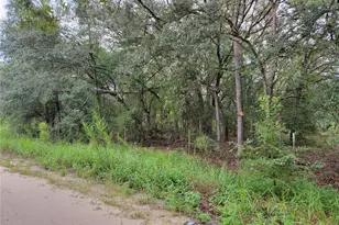 0 NE 110th Ave, Bronson, FL 32621 - Photo 1