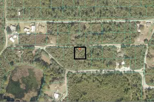 Tbd SE 144th Ln, Umatilla, FL 32784 - Photo 1