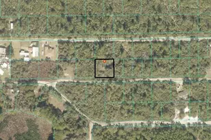 21139 SE 144th Ln, Umatilla, FL 32784 - Photo 1