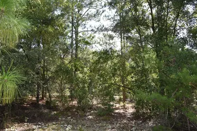 11st St, Interlachen, FL 32148 - Photo 19