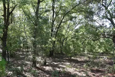 11st St, Interlachen, FL 32148 - Photo 15