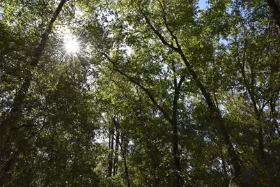 11st St, Interlachen, FL 32148 - Photo 1