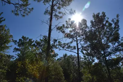 11st St, Interlachen, FL 32148 - Photo 9