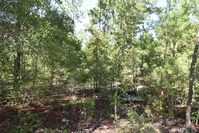 11st St, Interlachen, FL 32148 - Photo 7