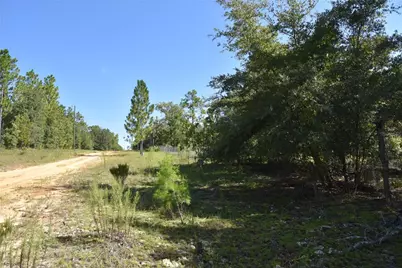 11st St, Interlachen, FL 32148 - Photo 3