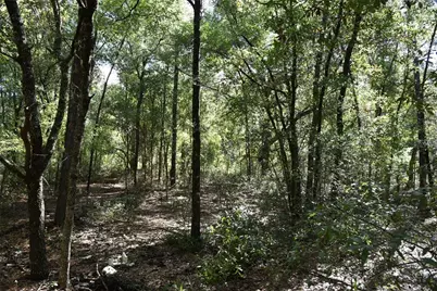 11st St, Interlachen, FL 32148 - Photo 21